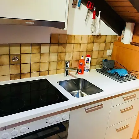 Haus Fletschhorn Jeizinen 公寓 *